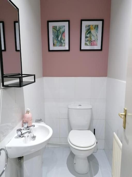 Stunning 3 Bedroom Townhouse In The Heart Of City Belfast Bagian luar foto